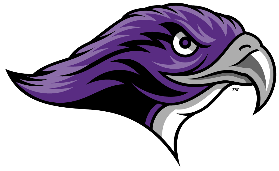 Stonehill Skyhawks 2012-Pres Secondary Logo diy iron on heat transfer